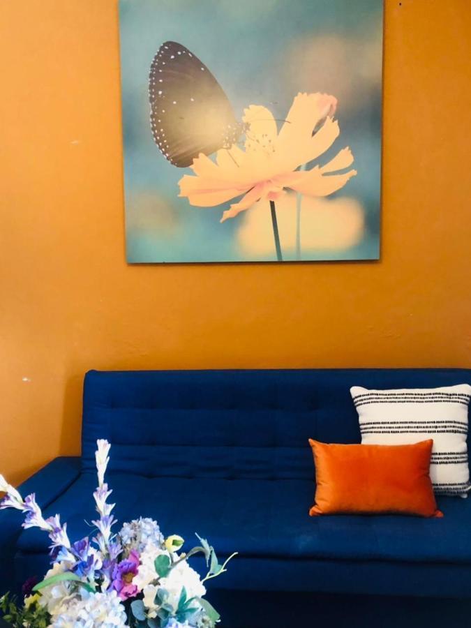 Hotel Corazon Mexicano グアナファト エクステリア 写真