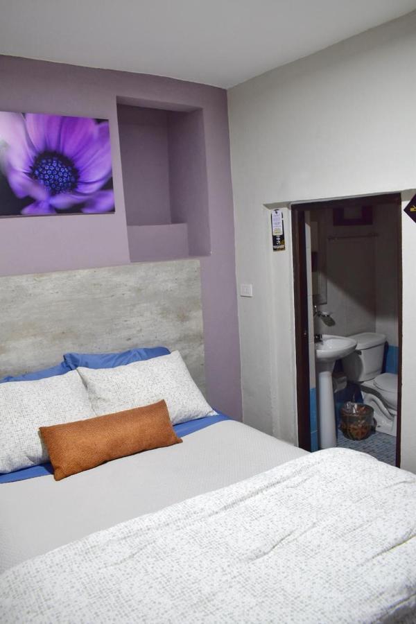 Hotel Corazon Mexicano グアナファト エクステリア 写真